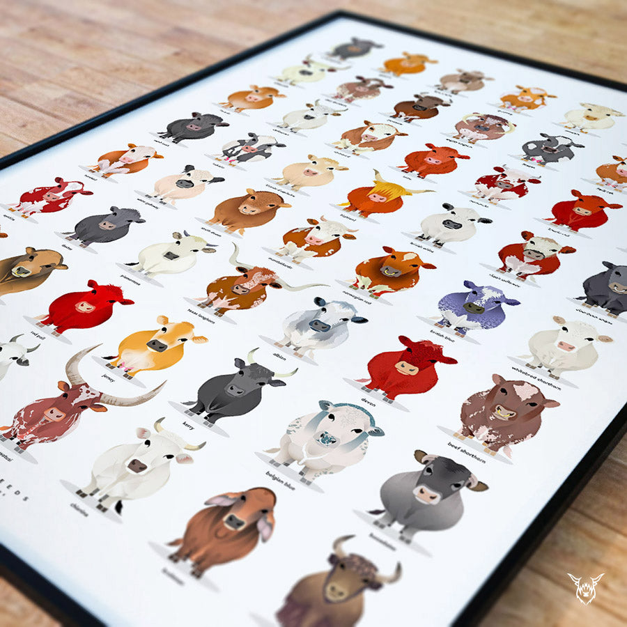 Cattle Breeds Poster