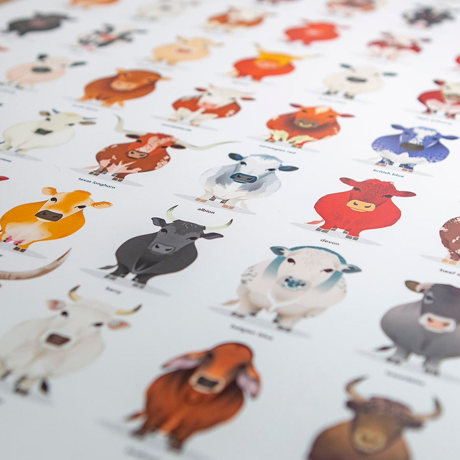 Cattle Breeds Poster