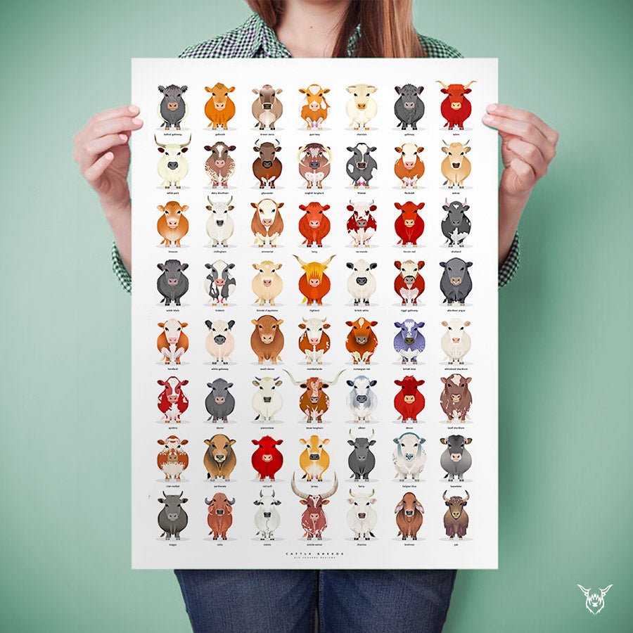 Cattle Breeds Poster