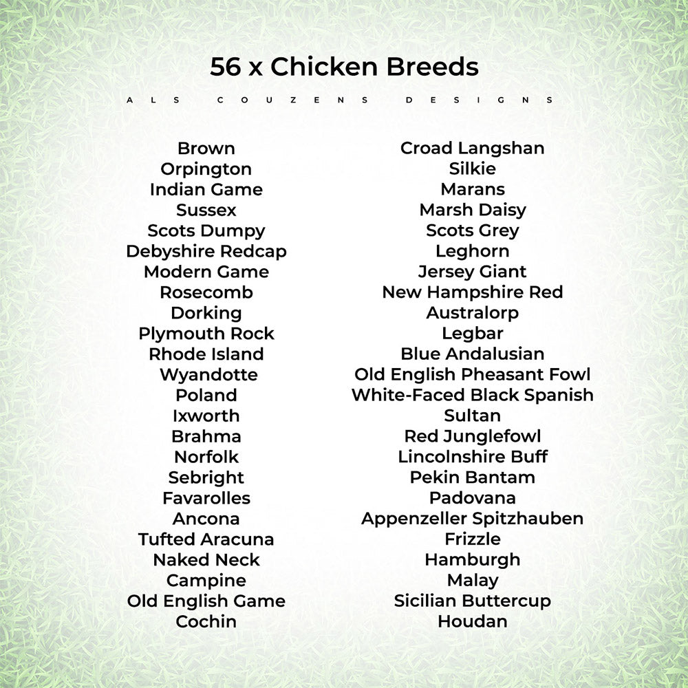 Chicken Breeds Poster