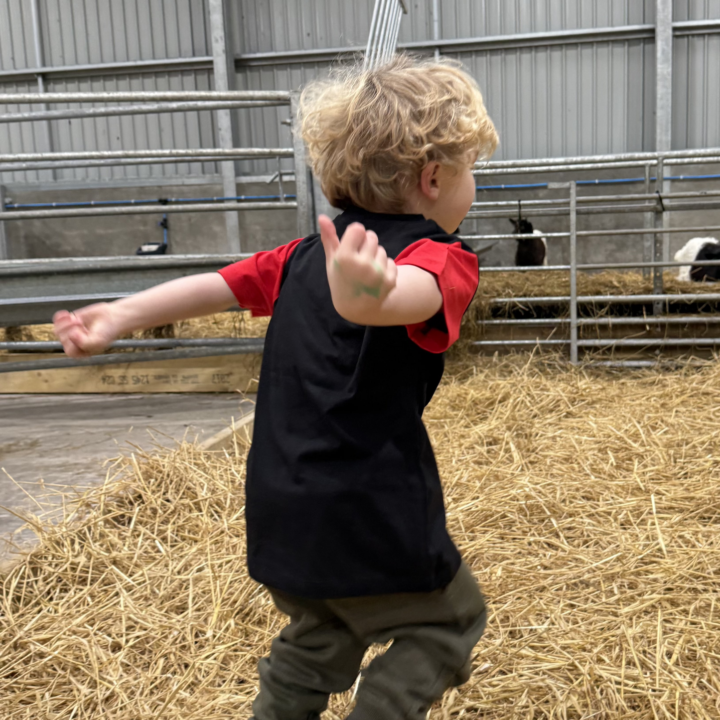 Feral Farm Kid T-Shirt - Sheep Print