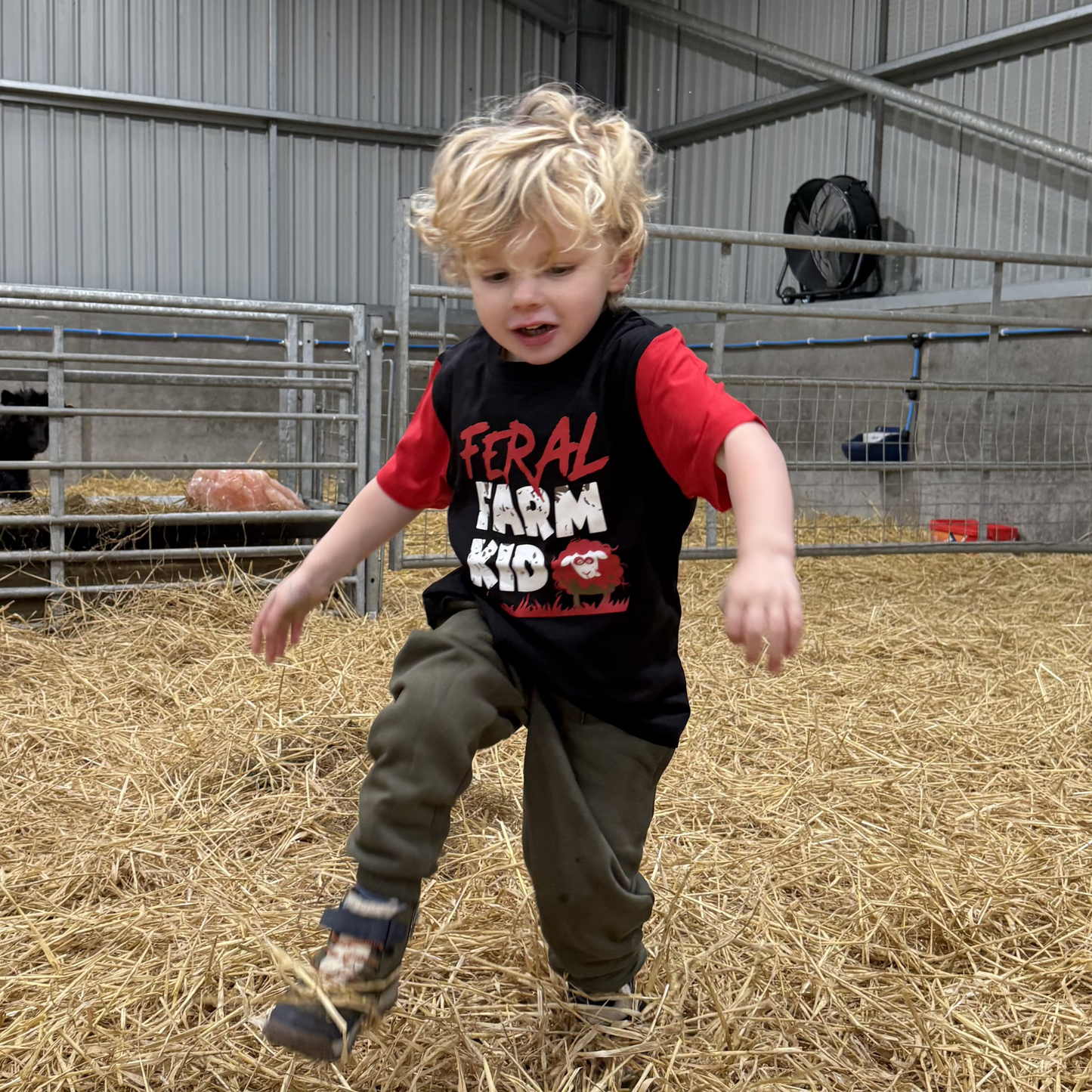 Feral Farm Kid T-Shirt - Sheep Print