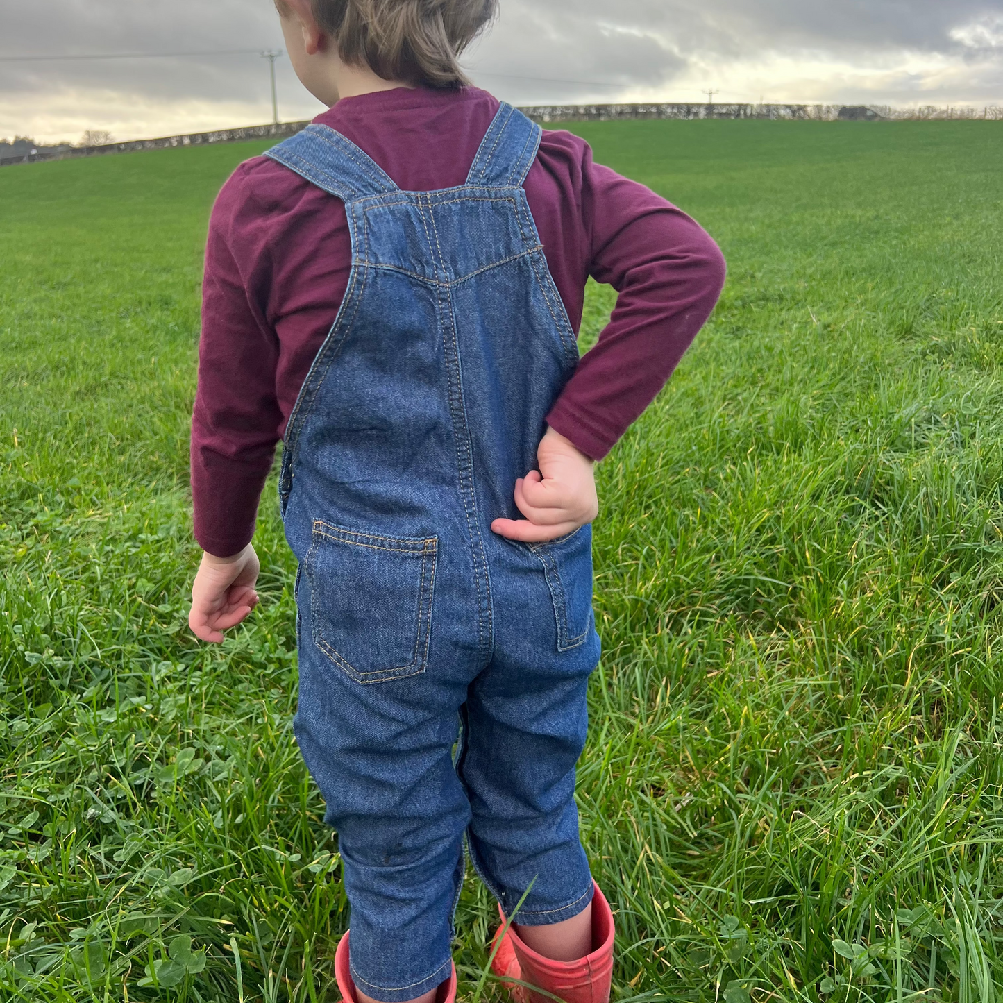 The Beef Game Dungarees