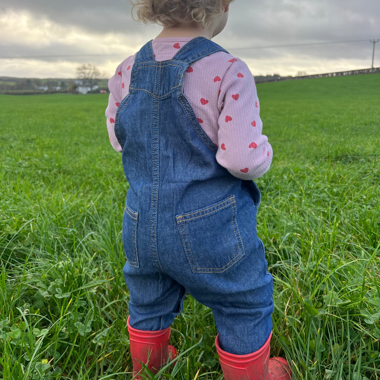 The Dairy Game Dungarees