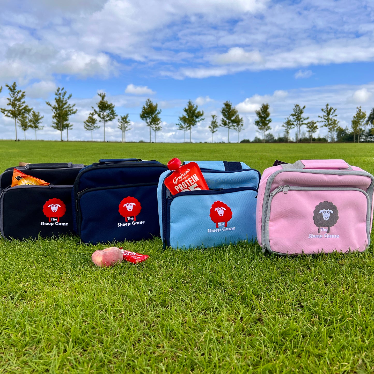 Lunch Cooler Bag