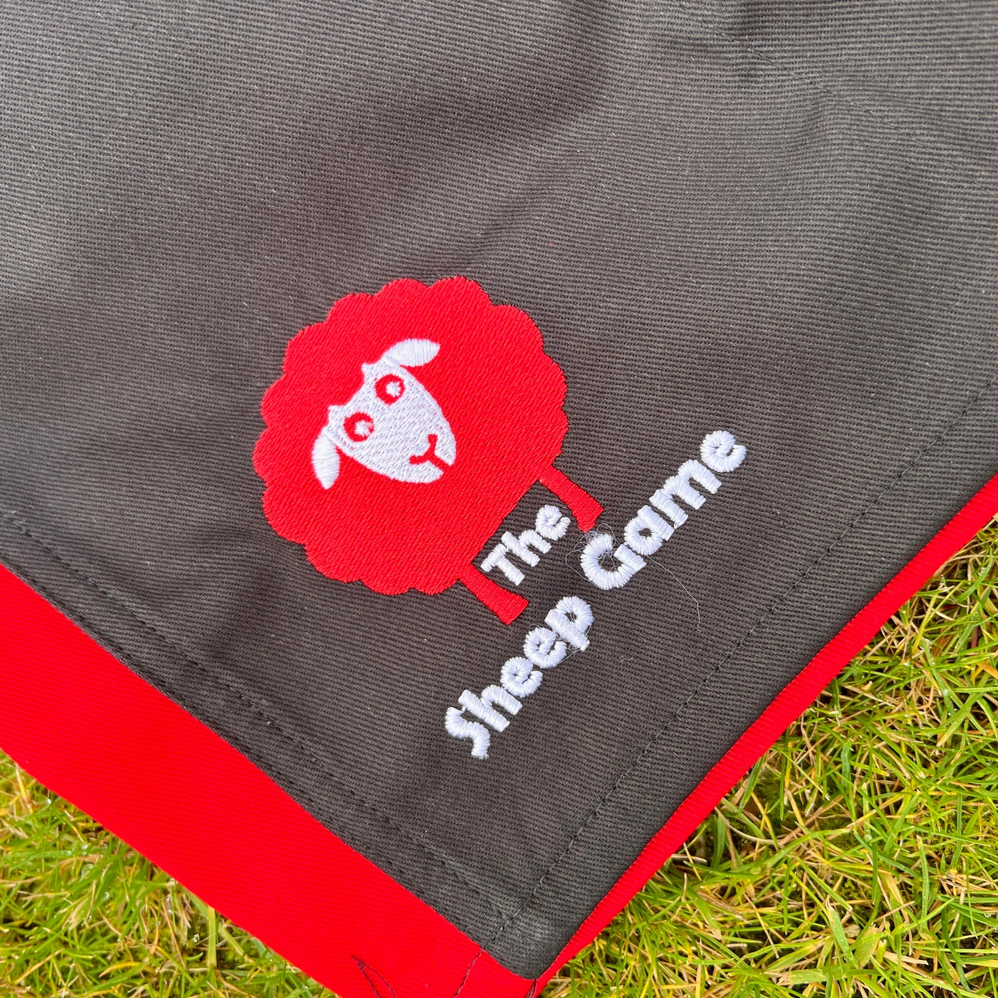 Adult Rugby Shorts