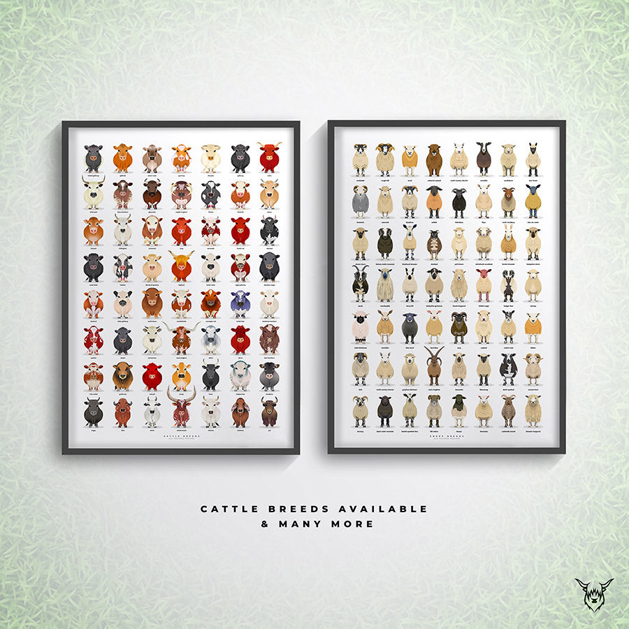 Cattle Breeds Poster