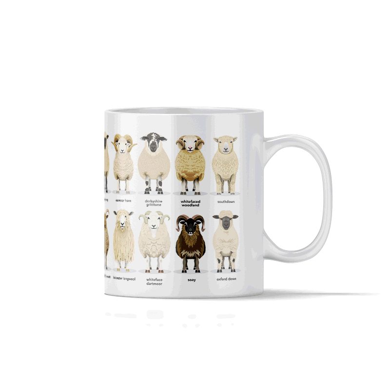 TETHERA - Sheep Breeds 3