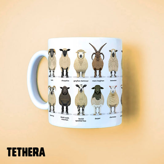 TETHERA - Sheep Breeds 3