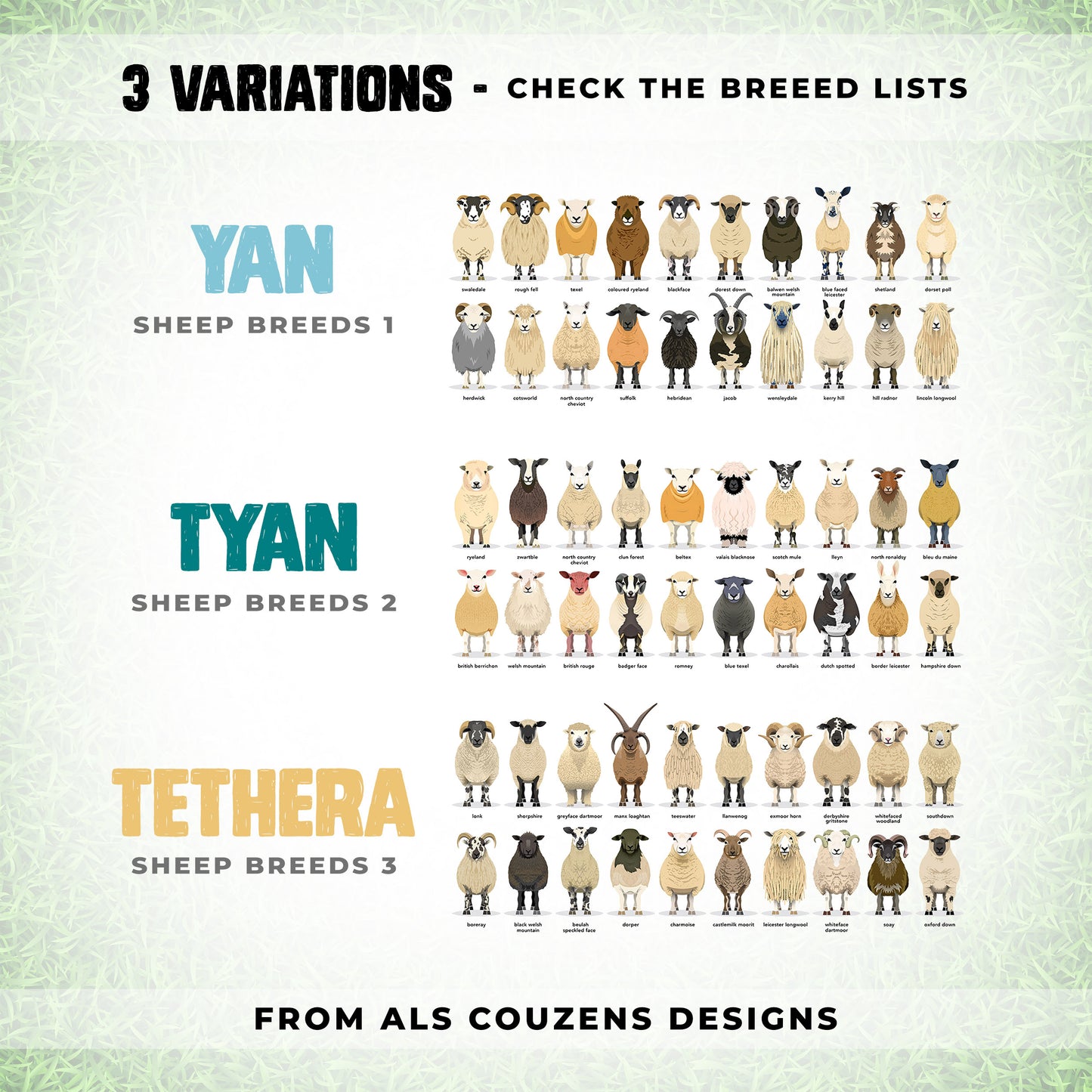 TYAN - Sheep Breeds 2