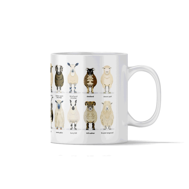 YAN - Sheep Breeds 1