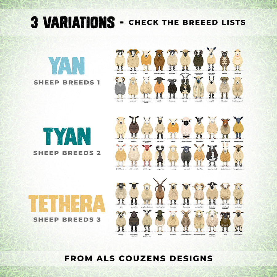 YAN - Sheep Breeds 1