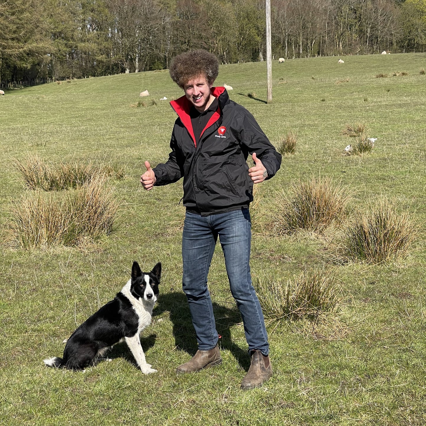 Regatta Waterproof Insulated Jacket