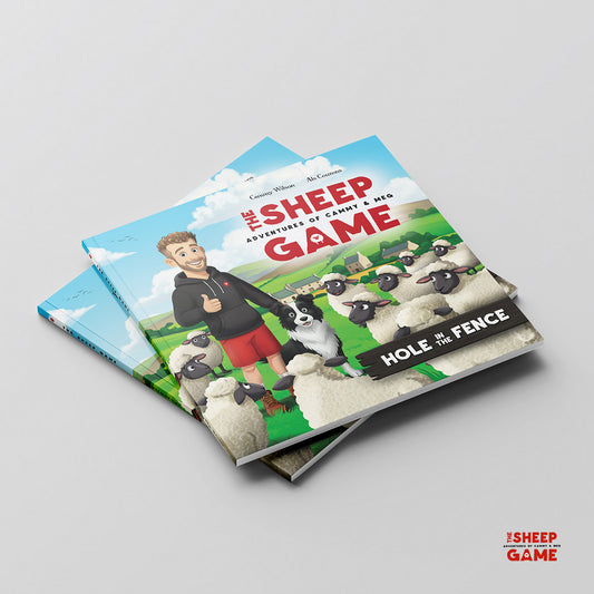 The Sheep Game Childrens Book