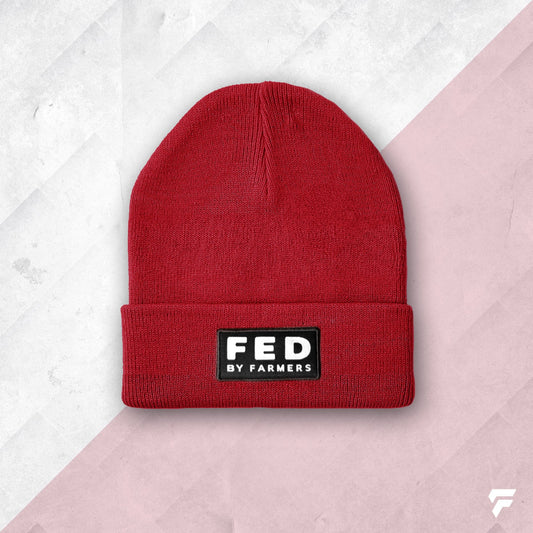 FED Beanie in Maroon