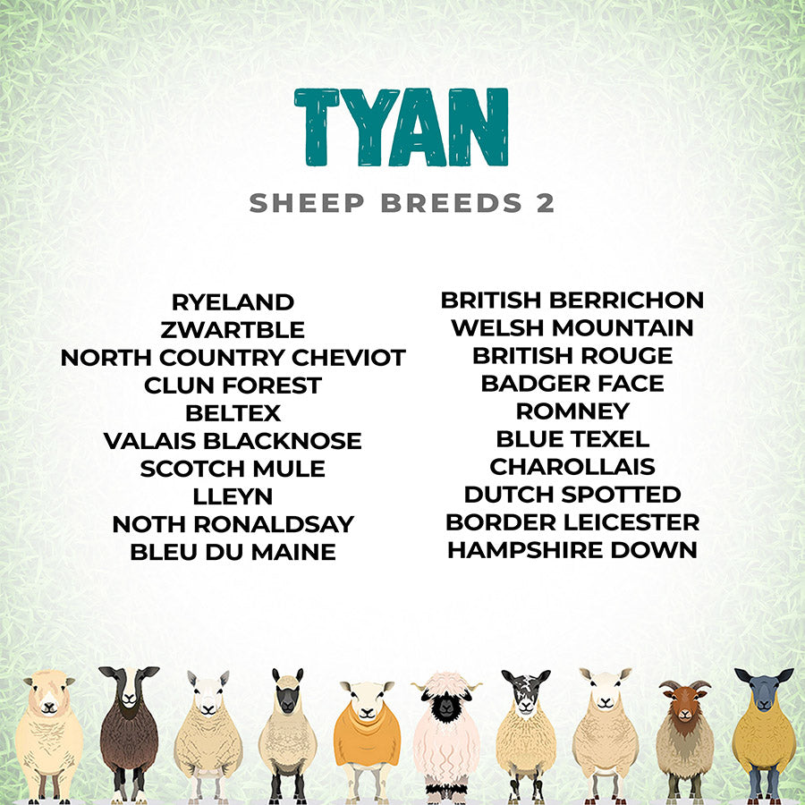 TYAN - Sheep Breeds 2