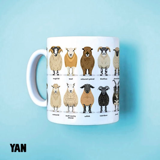 YAN - Sheep Breeds 1
