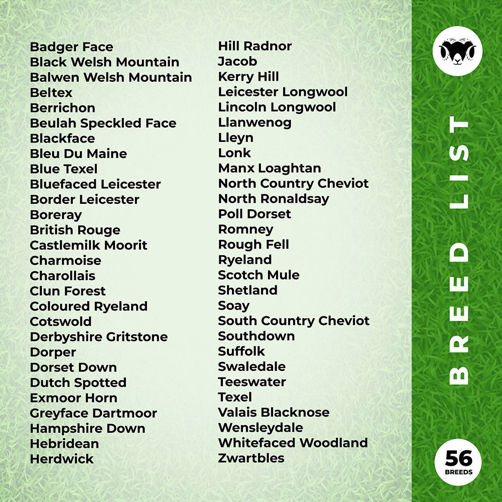 Sheep Breeds Poster